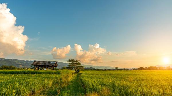 灵魂离体案例海明威把亲身经历写进书里(图)