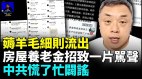 房产税变身房屋养老金骂声一片中共慌了方案A跳到C(视频)