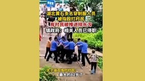 湖北制服人员打伤多名村民82岁老妇入院(图)