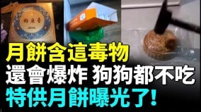 月饼爆炸吓哭孩子；狗狗月饼都比中国民众的月饼健康(视频)