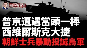 西维尔斯克大捷：乌军第10雪绒花山地旅全歼俄军朝鲜士兵反了(视频)