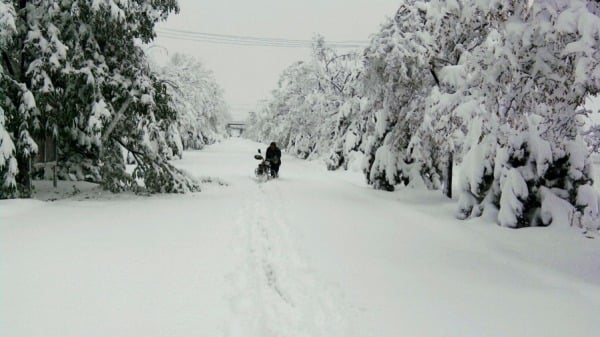 返鄉高峰暴雪寒潮大霧來襲8省79高速路段封閉(組圖)