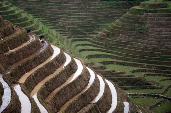 不缺錢的老人在城市裡翻垃圾桶(圖)