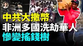華人慘變非洲搖錢樹《戰狼二》劇組遭劫非洲留學生傳播愛滋病(視頻)