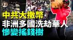 華人慘變非洲搖錢樹《戰狼二》劇組遭劫非洲留學生傳播愛滋病(視頻)