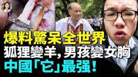中國造假絕活全球第一衣食住行都是坑政府擺爛裝傻(視頻)