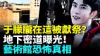 寶格麗暗藏「獻祭通道」洋人名流聚會很可疑于朦朧這句話留線索郭俊辰自知結局(視頻)