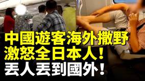 大陸男子撒野激怒全日本人中國夫妻海外撒野遭逮捕丟人丟到國外(視頻)