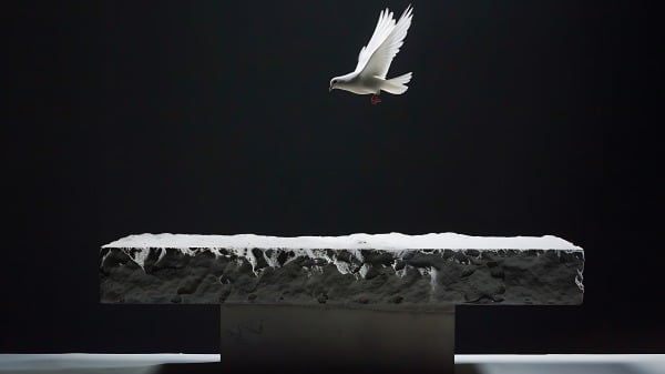 天葬台 鸽子(16:9)