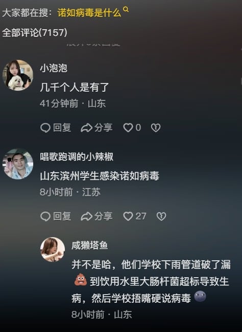山东