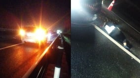 传河南截访人员出车祸致1死警察1重伤(图)