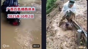 「國殤日」廣西百色遭洪水肆虐疑官方壓熱度(圖)