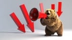 日本“熊害失控”奇谈：熊为什么下山捣乱(组图)