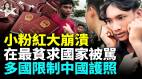 大批在日中國人恐被驅逐小粉紅在蒙古被打中共强國論遭打臉(視頻)