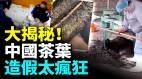 假茶充斥市場中國茶葉信譽危機加深「茶香」成了造假的生意(視頻)