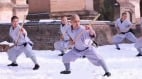 遭神秘虐杀摘器官“少林最帅武僧”之死黑幕曝光(图)
