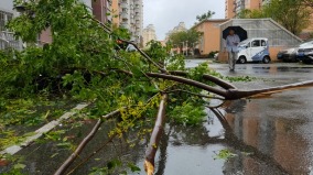 台风“麦德姆”将登陆海南海口紧急“六停”(图)