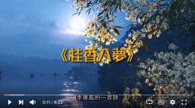 桂香入梦(视频)