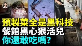添加劑泛濫狗都不吃的預製菜我們天天吃鷄蛋獸藥殘留超標316倍(視頻)