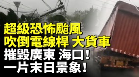 超级恐怖台风“麦德姆”掀翻大货车吹倒电线杆一片末日景象(视频)