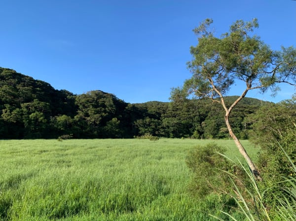 南台湾 台湾 屏东 旭海 草原