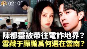 塔羅牌占卜：陳都靈被帶往電詐與性奴集散跨境點(視頻)