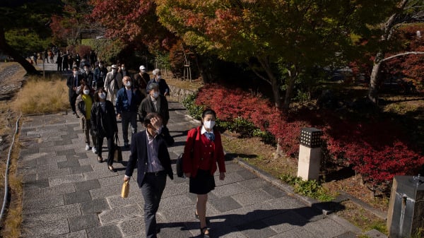 2021年11月13日，遊客在京都最熱門的旅遊景點之一嵐山欣賞秋葉。
