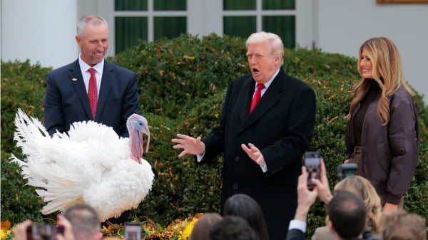 感恩節將至川普特赦幸運火雞「咕咕叫」和「搖擺走」(圖)