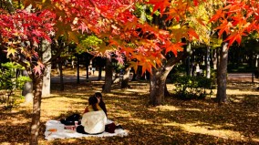 中國人會在日本砍中國人中共駐日大使館發警告后反轉(圖)