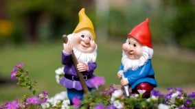 康沃尔郡奇遇桌上的小矮人不是雕像(图)