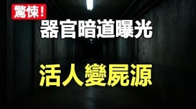 器官暗道曝光活人變屍源(視頻)