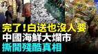 中國海鮮大爛市白送沒人要堆積成山扔垃圾桶揭背後殘酷真相(視頻)