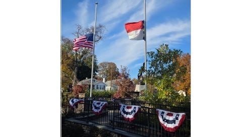 美国 总统 红叶 老哈利 节日彩旗