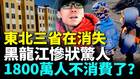中国东北正在消失全年新生儿35万年轻人外逃(视频)