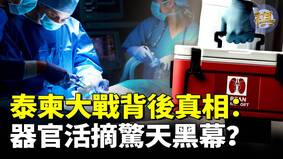 泰国柬埔寨边境大战内幕(视频)