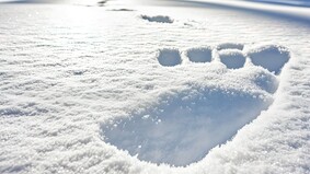 当圣诞节走入荒野冬雪之中流传的大脚怪传说(图)