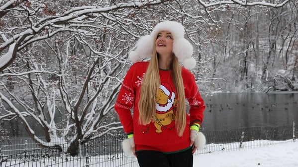 暴風雪突襲美東北假日出行嚴重受阻(圖)