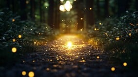 森林深處的聲音美國國家森林的離奇遭遇(圖)