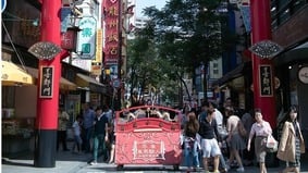 致海外華人書(圖)