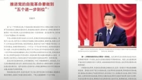 习近平发出启动文革信号国人进一步遭殃(组图)