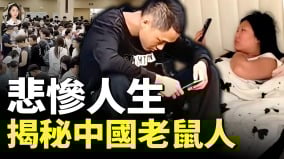 不敢生不敢结不敢活中国老鼠人时代全面来临(视频)