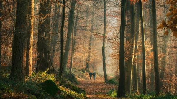 女孩的转生经历，性格在今世保留下来