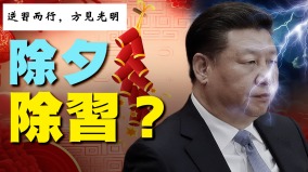 除夕夜满屏除习汹汹民意彰显除共大潮(图)