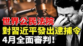 世界公民法院对习近平发出逮捕令4月全面审判(视频)