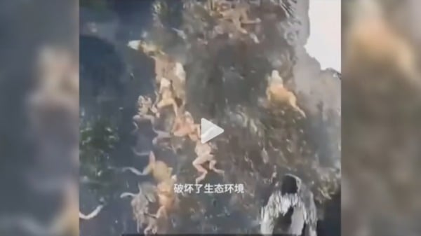 黑龙江