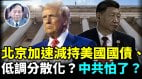 【谢田时间】中共联合160多WTO成员国状告WTO川普关税政策(视频)