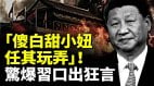 驚爆習近平口出狂言「傻白甜小妞任其玩弄」(視頻)