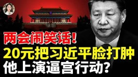 两会闹笑话20元把习近平脸打肿他上演逼宫行动(视频)