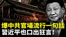 爆中共官场流行一句话习近平也口出狂言(视频)
