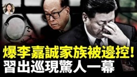 爆李嘉誠家族被邊控習出巡現驚人一幕(視頻)